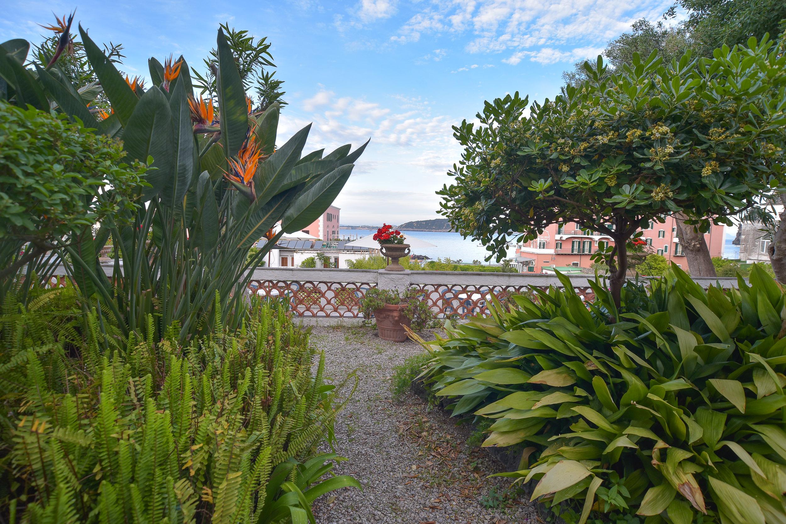 Villa Panoramica - Ischia Ponte Екстериор снимка