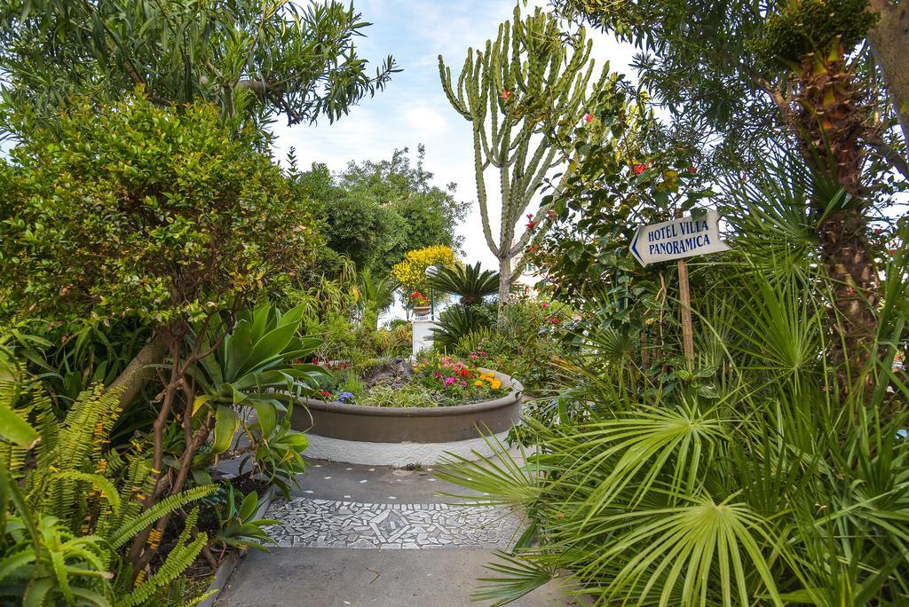Villa Panoramica - Ischia Ponte Екстериор снимка