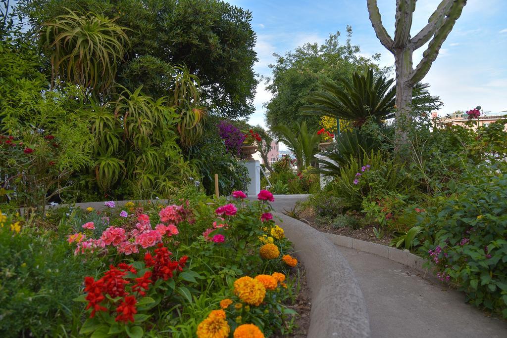 Villa Panoramica - Ischia Ponte Екстериор снимка