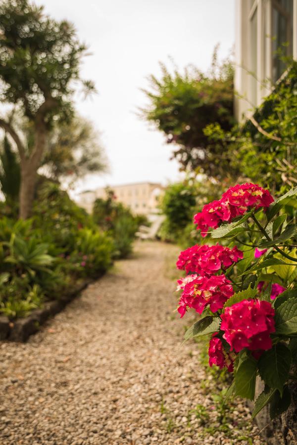 Villa Panoramica - Ischia Ponte Екстериор снимка